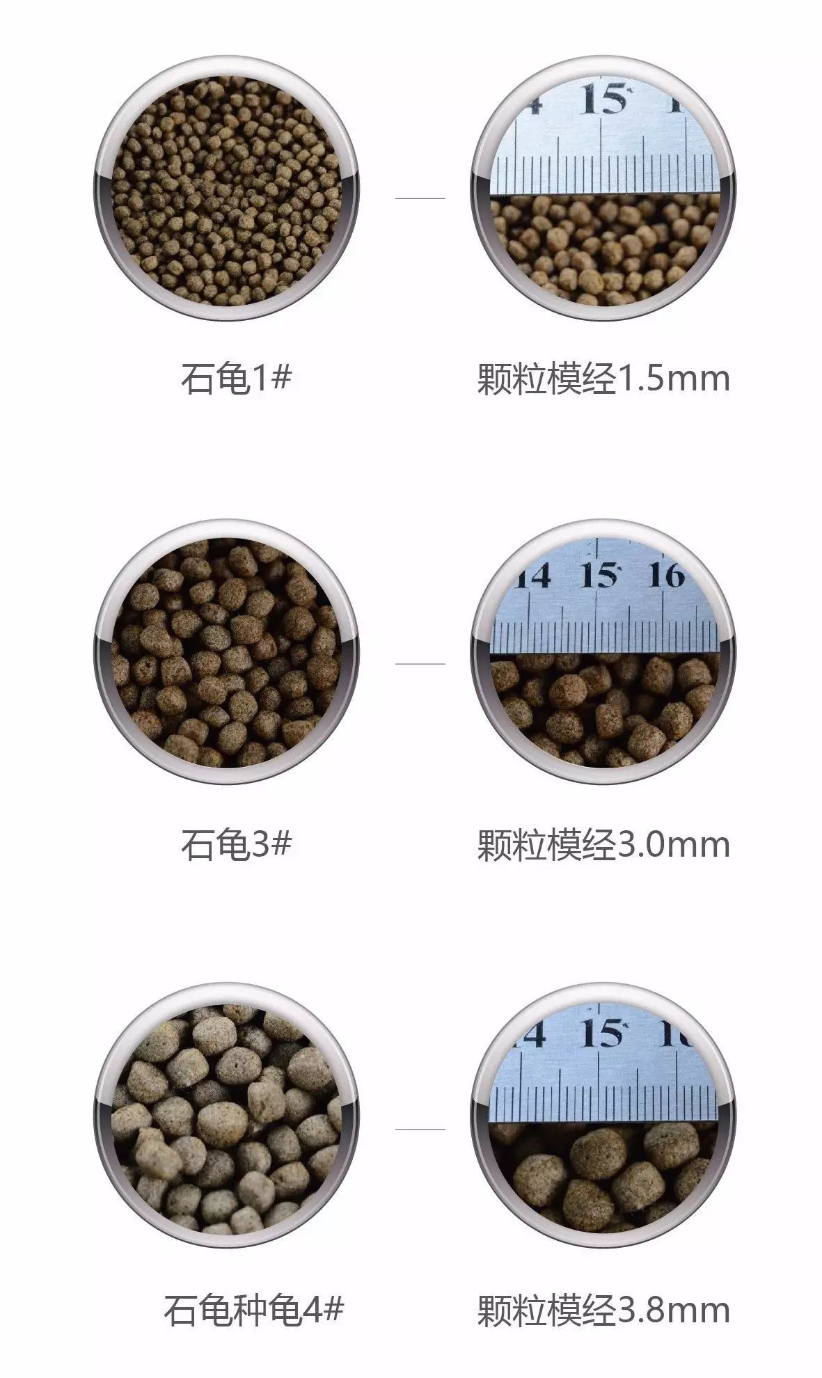 石龟料模径